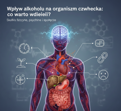 Wpływ alkoholu na organizm człowieka: co warto wiedzieć? - Photo 3